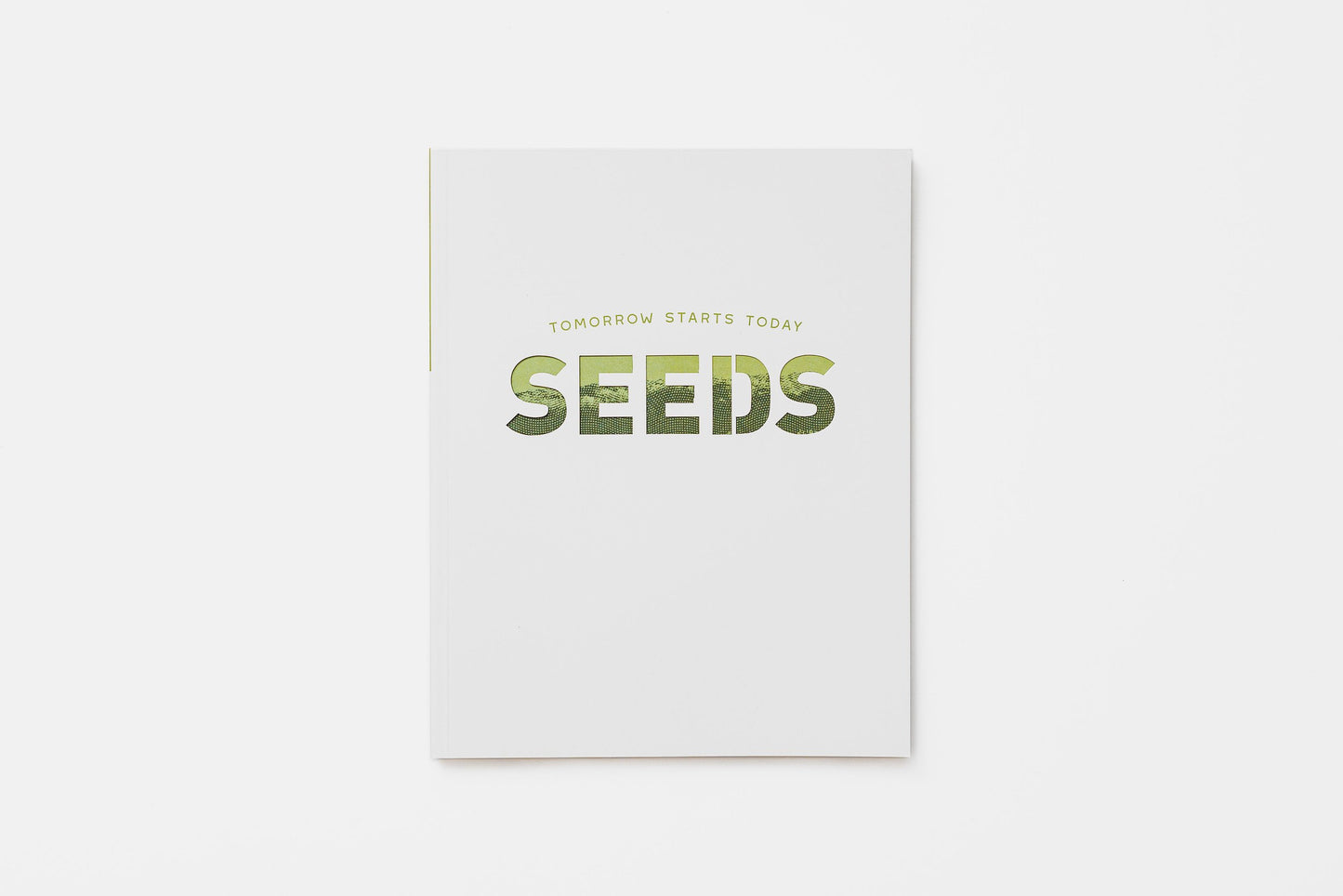 Seeds Study Guide
